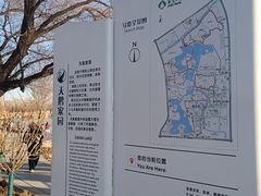 -蓝色港湾停车场
