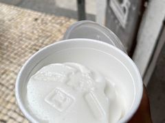 -洪馨椰子
