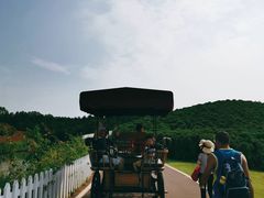 -迪茵湖田家舍生态农场