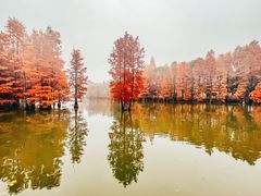 -尚湖风景区