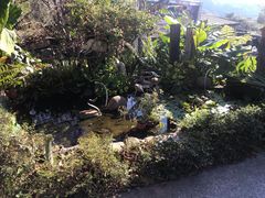 -优游吧斯邹族文化部落