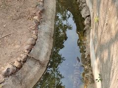 -野象谷景区