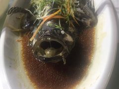 -范饭椰林川湘味海鲜·椰子鸡(三亚湾椰梦长廊店)