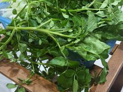 -牛排王糟粕醋火锅(海甸分店)