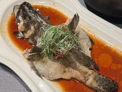 -三利音·浦之舟(滨江大道店)