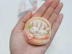 -北京稻香村(田村店)