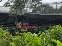 -新加坡飞禽公园