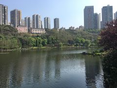 -重庆彩云湖湿地公园
