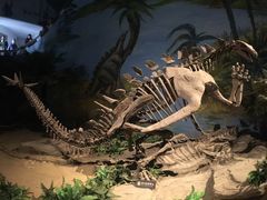 -自贡恐龙博物馆