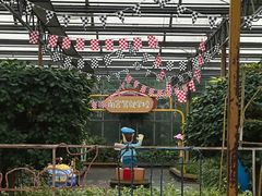 -南宫五洲植物乐园