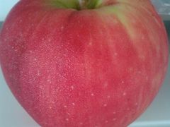 苹果真好吃，现在正是季节！-ライフ(落合南長崎駅前店)