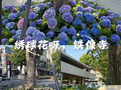 -铁像寺水街