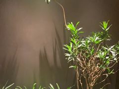 -青螺餐厅·家宴(松雅湖店)