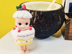 -志龙皇冠吃货椰子铺