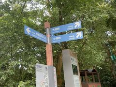 -梧桐山风景名胜区