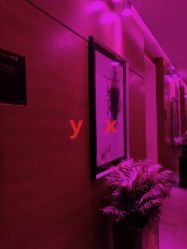 -Yestar杭州艺星医疗美容医院