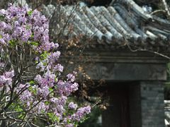 -国家植物园南园