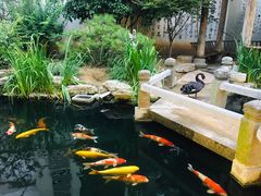 -荐悫堂(锦江新天地店)