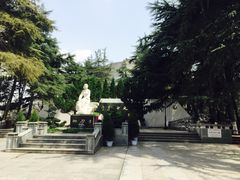 -龟山风景区-龟山电视塔