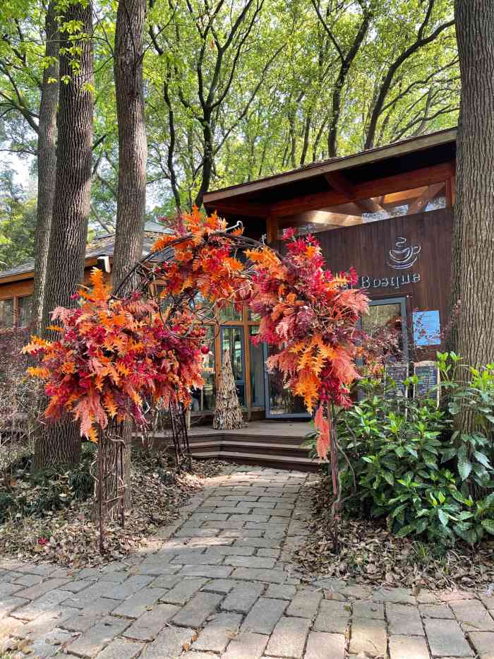 丛林咖啡馆-"国庆假期避人潮的好去处～同里国家湿地公园.