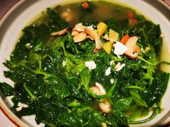 -大榕树下顺德菜(融创茂店)