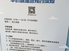 -华侨城湿地公园