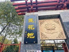 -莲花池公园