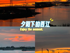 -八仔大富楼·河鲜(西江店)
