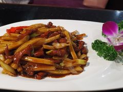 -云中小雅