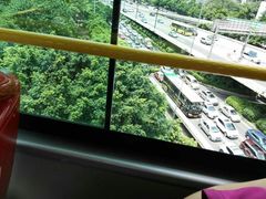 -广州都市观光巴士(粤陶巴)
