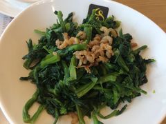 凉拌万年青-一品小笼(金融街店)