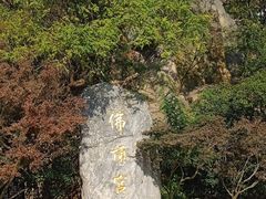 -牛首山文化旅游区