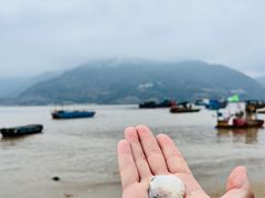 -北岐滩涂