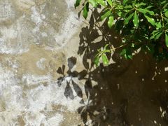 -VOYAGE COFFEE(北锣鼓巷店)