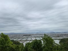 -蛇蟠岛