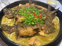 -老板恋上鱼(高新万达店)