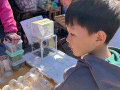 -中环花鸟鱼虫市场