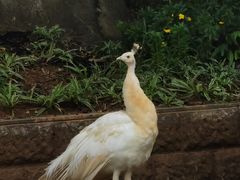 -昆明动物园