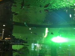 -尚泰清迈机场购物中心