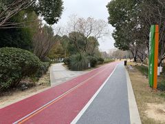 -澹台湖公园