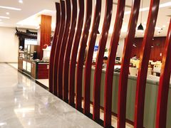 -虹桥机场国航贵宾室v8