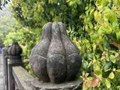 -南山植物园