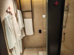 -新加坡瑞士史丹福酒店