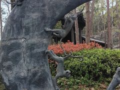 -千岛湖东南湖区