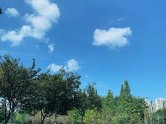 -白塘生态植物园