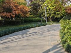 -杭州城北体育公园