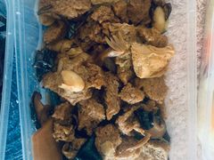 -香妃烤鸡(西单店)