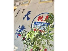 -铁真·刨冰红焖羊肉(总店)