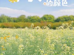 -千灯古镇