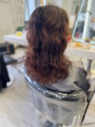 -镁连社·美联社